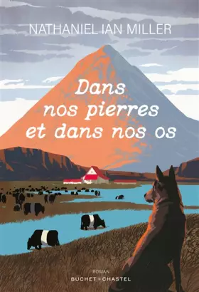 Couverture du produit · Dans nos pierres et dans nos os