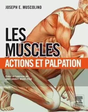 Couverture du produit · Les muscles : actions et palpation