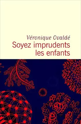 Couverture du produit · Soyez imprudents les enfants