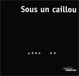 Couverture du produit · Sous un caillou