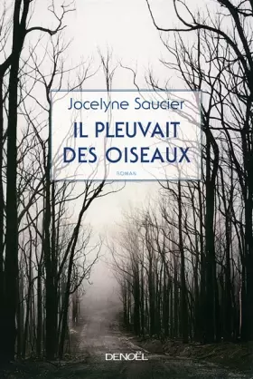 Couverture du produit · Il pleuvait des oiseaux