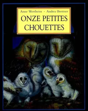 Couverture du produit · Onze petites chouettes