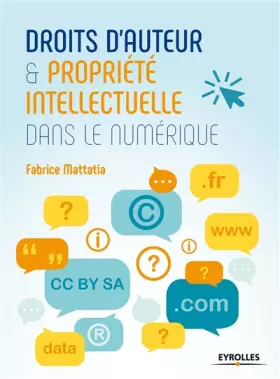 Couverture du produit · DROITS D AUTEUR ET PROPRIETE INTELLECTUELLE DANS LE NUMERIQUE