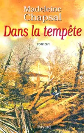 Couverture du produit · Dans la tempête
