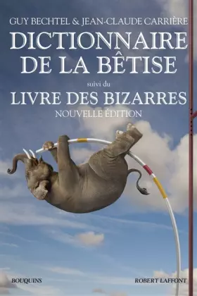 Couverture du produit · Dictionnaire de la bêtise