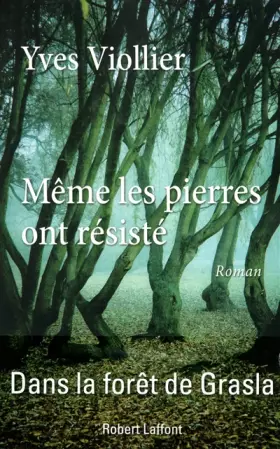 Couverture du produit · Même les pierres ont résisté