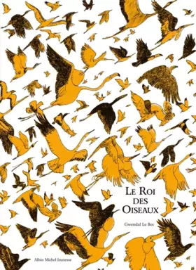 Couverture du produit · Le Roi des Oiseaux