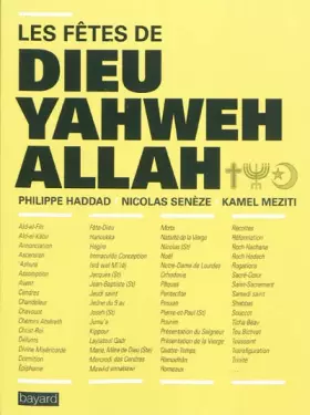 Couverture du produit · Le Dico Interreligieux Des Fêtes