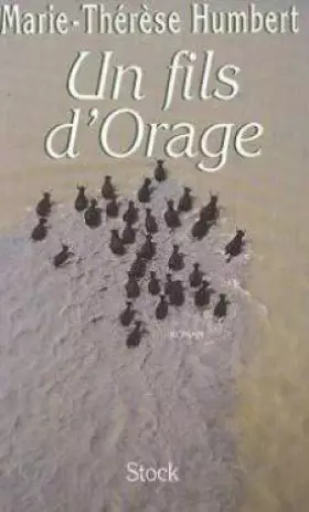 Couverture du produit · UN FILS D'ORAGE