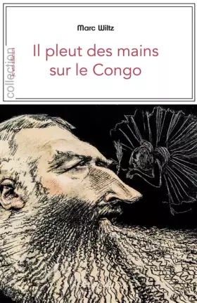 Couverture du produit · Il pleut des mains sur le Congo
