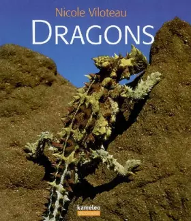 Couverture du produit · Dragons