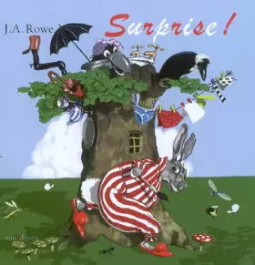 Couverture du produit · Surprise !