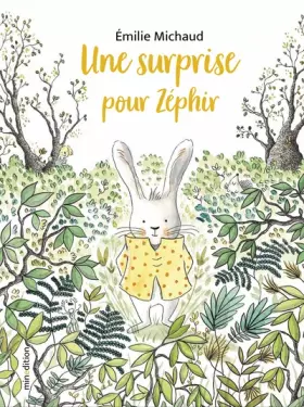 Couverture du produit · Une surprise pour Zéphir