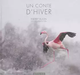 Couverture du produit · Un conte d'hiver