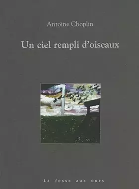 Couverture du produit · Un ciel rempli d'oiseaux