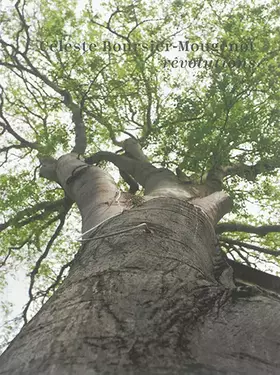 Couverture du produit · Céleste Boursier-Mougenot : rêvolutions