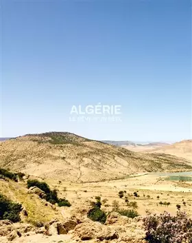 Couverture du produit · Algérie, le rêve d'un réel