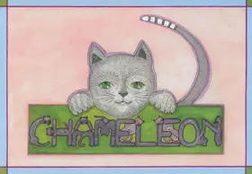 Couverture du produit · Chaméléon