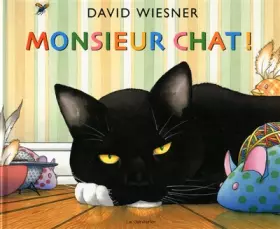 Couverture du produit · Monsieur chat !