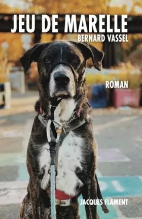 Couverture du produit · Jeu de marelle