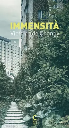 Couverture du produit · Immensità