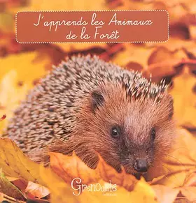 Couverture du produit · J'apprends les animaux de la forêt
