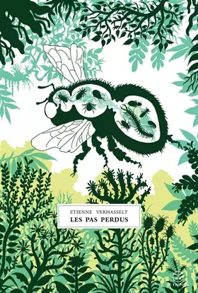 Couverture du produit · Les pas perdus