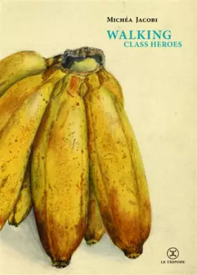 Couverture du produit · Walking class heroes