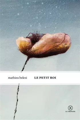 Couverture du produit · Le Petit Roi