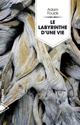 Couverture du produit · Le labyrinthe d'une vie