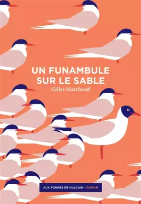 Couverture du produit · Un funambule sur le sable