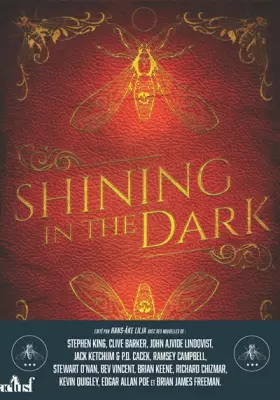 Couverture du produit · Shining in the Dark