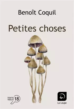 Couverture du produit · Petites choses