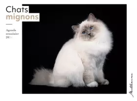 Couverture du produit · Semainier 2024 - Chats mignons