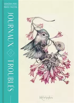 Couverture du produit · Journaux troublés