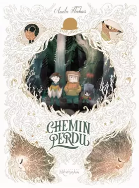 Couverture du produit · Chemin perdu