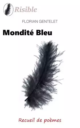 Couverture du produit · Mondité bleu