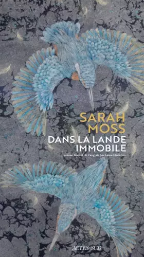 Couverture du produit · Dans la lande immobile