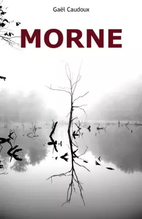 Couverture du produit · Morne