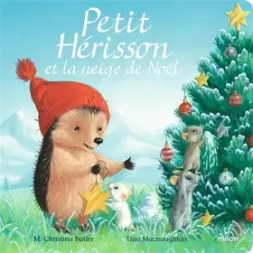 Couverture du produit · Petit Hérisson et la neige de Noël (tout-carton)