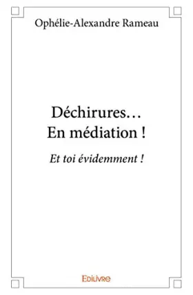 Couverture du produit · Déchirures...En médiation !
