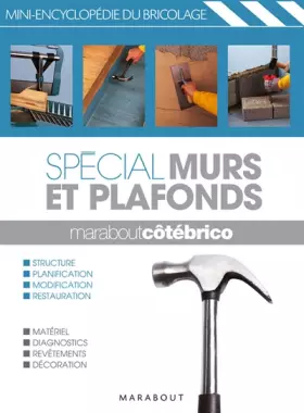 Couverture du produit · Spécial Murs et plafonds