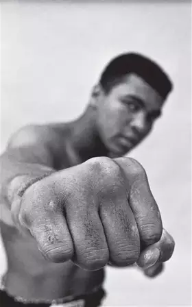 Couverture du produit · Ali: Une vie