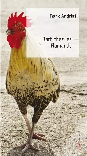 Couverture du produit · Bart chez les Flamands