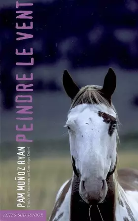 Couverture du produit · Peindre le vent