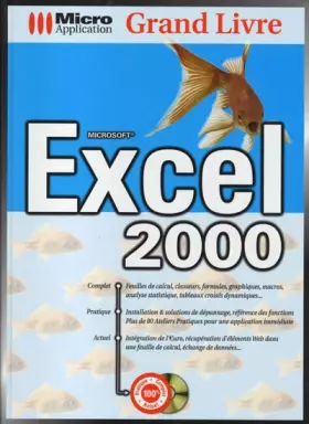 Couverture du produit · Grand livre Excel 2000