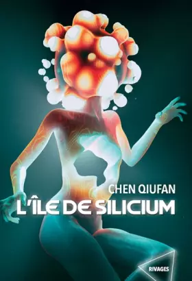 Couverture du produit · L'île de Silicium