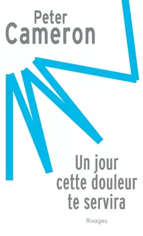 Couverture du produit · Un jour cette douleur te servira