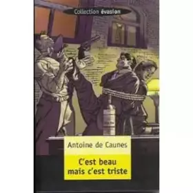 Couverture du produit · C'est beau mais c'est triste (Évasion)