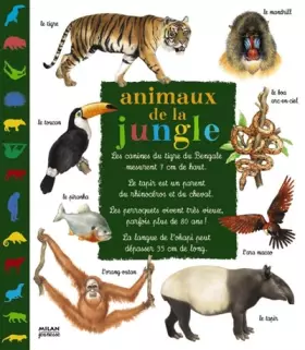 Couverture du produit · Animaux de la jungle